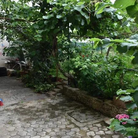 Monika Široki Brijeg